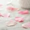 12 Pack: Occasions Pink Decorative Rose Petals by Celebrate It&#x2122;